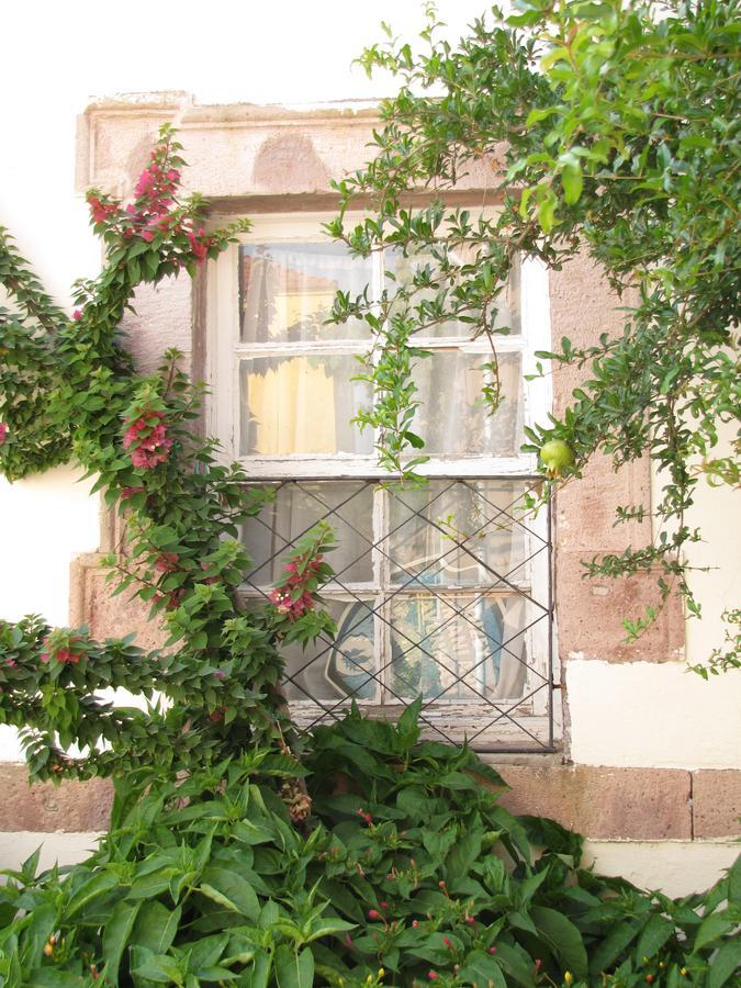 Ayvalı Eolos House Cunda מראה חיצוני תמונה